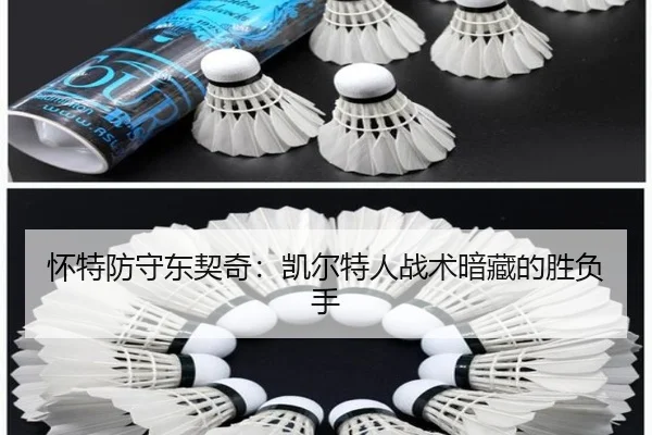 huai-te-fang-shou-dong-qi-qi-kai-er-te-ren-zhan-shu-an-cang-de-sheng-fu-shou-2-385.jpg