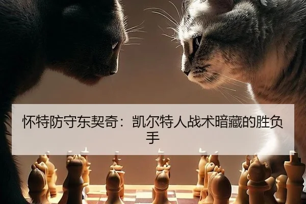 怀特防守东契奇：凯尔特人战术暗藏的胜负手