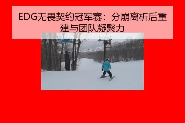 EDG无畏契约冠军赛：分崩离析后重建与团队凝聚力