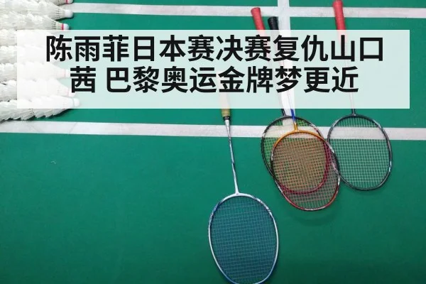 badminton match court