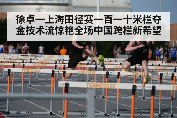 徐卓一上海田径赛一百一十米栏夺金技术流惊艳全场中国跨栏新希望