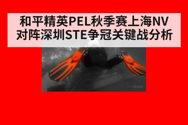 和平精英PEL秋季赛上海NV对阵深圳STE争冠关键战分析